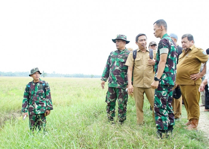 Plt. Bupati Bersama Dandim 0209/LB Tinjau Lokasi Lahan Pertanian Yang Akan Dibangun Normalisasi Irigasi 