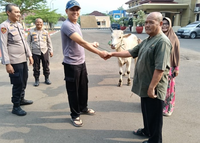 Polres Serang Salurkan Belasan Sapi dan Puluhan Kambing Kurban