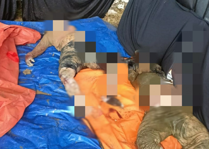 Enam Jasad Korban Tanah Longsor di Taput Berhasil Ditemukan BPBD Bersama Anggota DPRD Labuhanbatu 