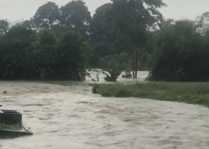 Banjir di Indonesia Sepanjang November 2024 Waspada Potensi Cuaca Ekstrem