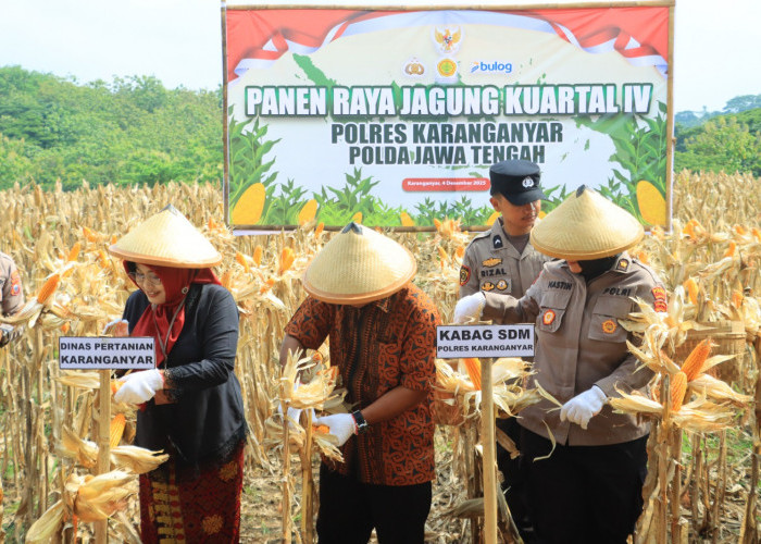 Polres Karanganyar Panen Jagung Kuartal IV, Dorong Ketahanan Pangan dan Ekonomi Masyarakat Desa