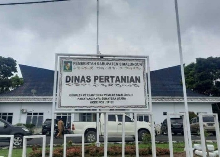 Distan Simalungun Terima Laporan Kekeringan dari Petani Akibat Kemarau Panjang