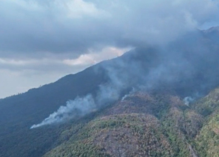 Kebakaran Hutan Gunung Lawu Meluas hingga 490 Hektare, BPBD Siapkan Empat Posko