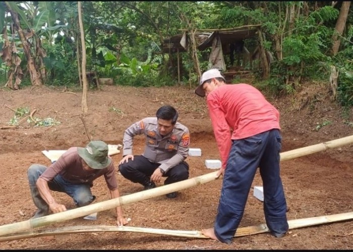 Polsek Serang Polresta Serang Kota Tingkatkan Ketahanan Pangan Intens Dampingi Kelompok Tani