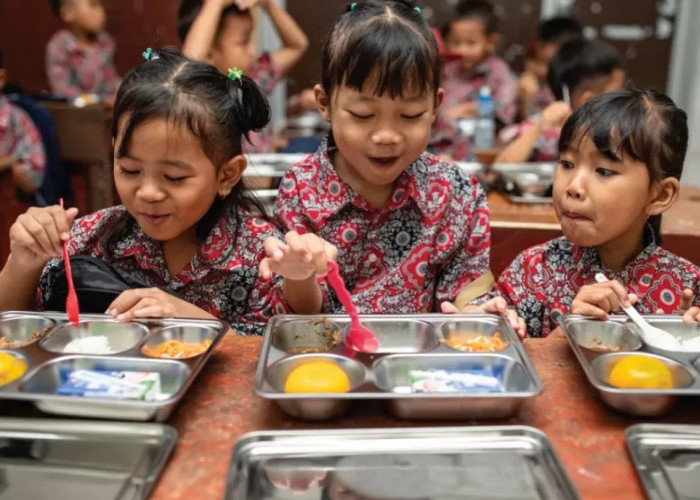 Makan Bergizi Gratis  Itu Program Atau Proyek?
