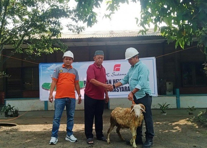 Bentuk Kepedulian Kepada Warga, PT Sudamanik Berikan Hewan Kurban Idul Adha