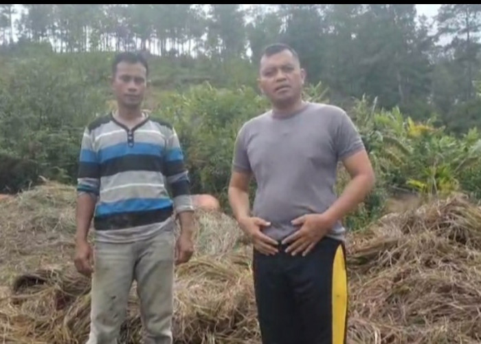 Brimob Batalyon D Polda Aceh Buka Peluang Kerja bagi Masyarakat Melalui Program Pemberdayaan Ekonomi
