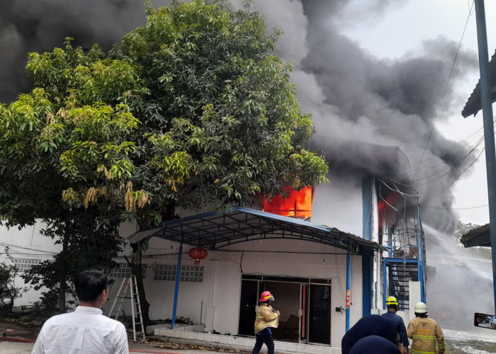 Sebuah Pabrik Terbakar di Bintangmas Nanggewer Cibinong