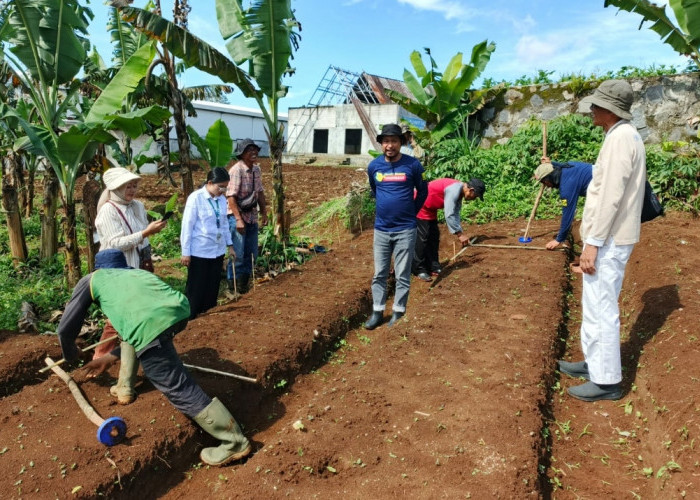 Kemitraan Strategis PT MBI dan BRMP Biogen Bogor Hadapi Krisis Benih Edamame Nasional   