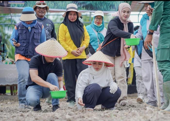 Dukung Program Ketahanan Pangan, Bupati Lakukan Penanaman Padi Darat Gogo