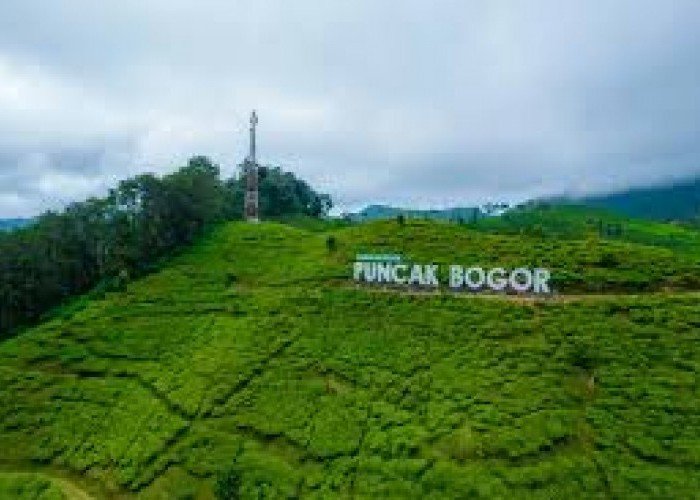 Tempat Wisata Yang Ada di Puncak Bogor, Hayu Gaskeun