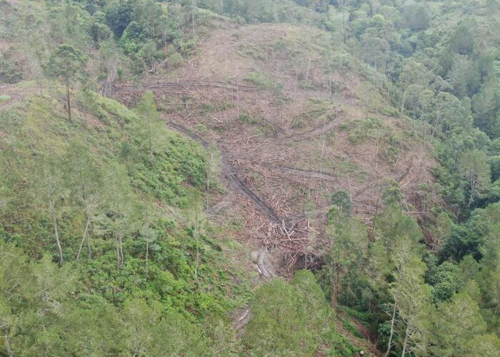 Pj Gubsu Minta Warga Perambah Hutan di Humbahas Diselidiki