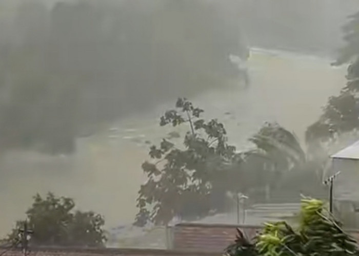  Hujan Disertai Angin Kencang Landa Kota Bogor, Warga Diimbau Tetap Waspada