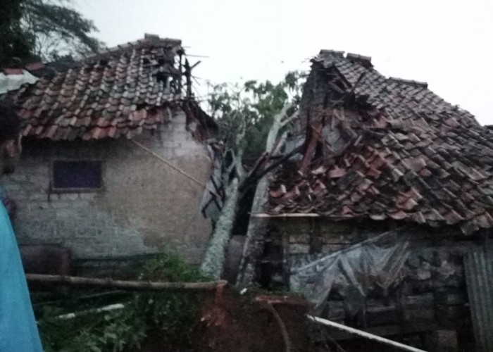  Rumah Warga di Kiarapedes Tertimpa Pohon Tumbang, Kerugian Capai Puluhan Juta Rupiah