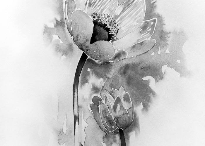 Rekayasa Membawa Derita