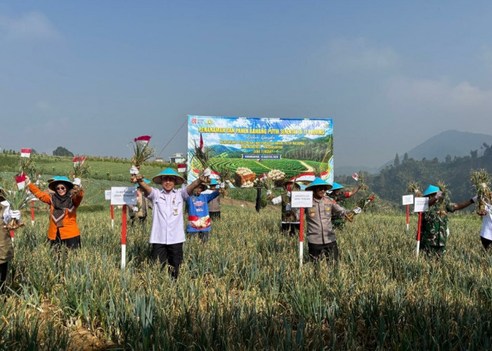 Panen Bawang Putih di Tawangmangu Tembus 1,25 Ton, Wakapolda Jateng Dorong Petani Makin Produktif