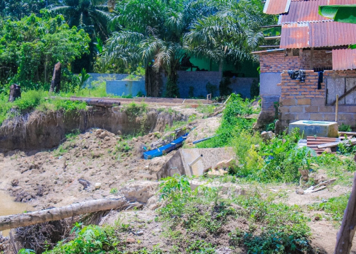 Tanggap Bencana,  PLT Bupati  Tinjau Langsung Lokasi Tanah Longsor di Desa Tanjung Harapan 