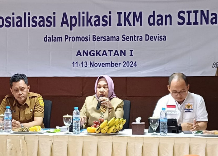 Pelatihan Aplikasi IKM dan SIINas Dalam Promosi Bersama Sentra Devisa