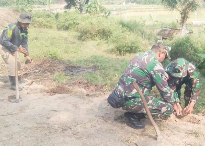TMMD ke-125 Kodim 0623/Cilegon Tanam 500 Pohon, Baru 40 Persen Terealisasi