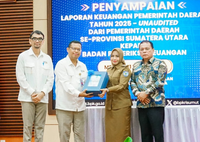 Bupati Labuhanbatu Sampaikan Laporan Keuangan Daerah ke BPK Perwakilan Sumut 