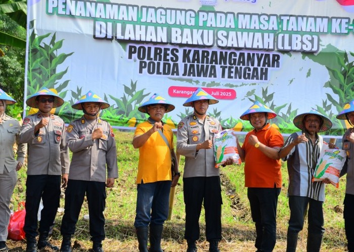 Polres Karanganyar Dukung Ketahanan Pangan Program Pemerintah Tanam Jagung di Lahan Baku Sawah di Mojogedang