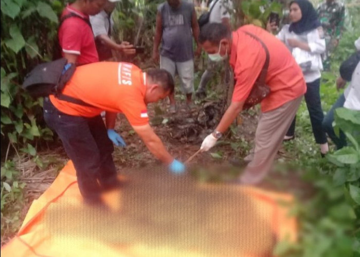Jenazah Pensiunan Karyawan BUMN Ditemukan Tergantung di Pohon Sawo