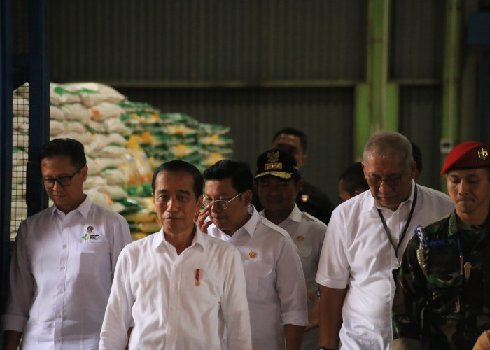 Plt. Bupati Ellya Rosa Siregar Dampingi Presiden Jokowi Tinjau Harga Pangan di Pasar Glugur Rantauprapat 