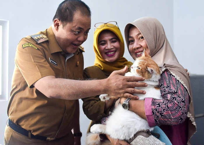 World Rabies Day, Ratusan Ekor Kucing Ikuti Vaksinasi Rabies