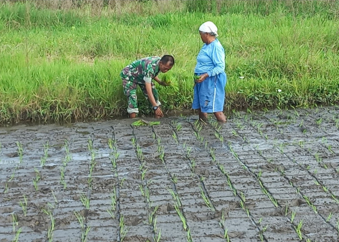 Babinsa Harus Aktif Dan Beri Kontribusi di Wilayah Binaanya