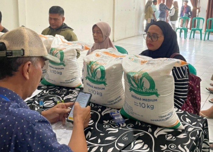 Perum BULOG Laksanakan Penugasan Bapanas Salurkan Bantuan Beras Sekaligus