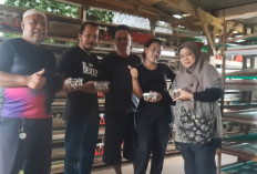 Kunjungan Silaturahmi Yayasan  PPIQaila ke Kandang Telur Puyuh di Pasir Pendey Bogor 