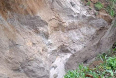 Akibat Hujan Deras Irigasi Longsor, Ketahanan Pangan 130 Hektare Sawah Terancam