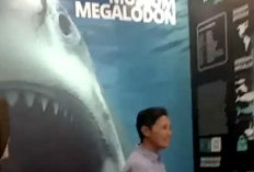 Museum Megalodon Desa Gunung Sungging Butuh Perhatian Pemprov Jawa Barat