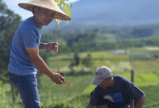 Mari kita Tanam Pohon Pengembangan Pariwisata Ditawangmangu tidak boleh merusak hutan  