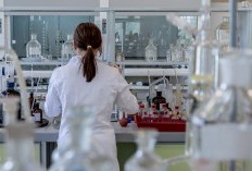 Perlu Diwaspadai, Cacar Monyet Rentan Menyebar Dikhawatirkan Menjadi Wabah Baru