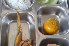 Memberi Makan Gratis Membuka Peluang Korupsi Baru dan Program Mubazir
