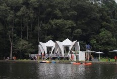 Keindahan Situ Gede Bogor: Oase Alami di Tengah Kota