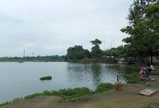 Sejarah, Asal Usul dan Manfaat Setu Pojok Gunung Putri Kabupaten Bogor