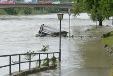 Banjir di Sumatera, Sawit vs Hutan Belantara