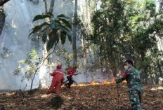 Kawasan Danau Toba Semakin Memburuk, Pengawasan Dinilai Lemah