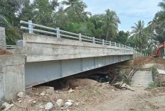 Mengapa Dana Jalan Dialihkan ke Jembatan?