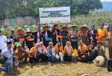 Panen Raya Cabai Merah, Kelompok Tani Garita Dapat DukunganPT. Antam UBPE Pongkor   