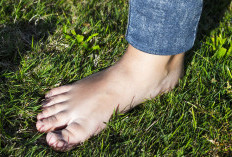 5 Tanda-tanda Tubuh Kekurangan Protein Yang Perlu Anda Ketahui dan Waspadai