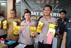 Polres Bogor Ungkap Produksi Minyakita Palsu dengan Omzet Ratusan Juta per Bulan di Cijujung Sukaraja
