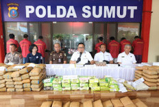 Tim Direktorat Reserse Narkoba Polda Sumut, Dalam Kurun Waktu 60 Hari Berhasil Bongkar Jaringan Narkoba