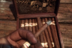 Cerutu, Simbol Kenikmatan dan Filosofi Hidup yang Klasik