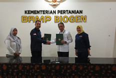 PT MBI Gandeng BRMP Biogen Bogor Dorong Produktivitas Edamame Lewat Bibit Unggul