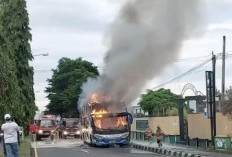Diduga Karena Korsleting AC, Satu Unit PO Haryanto Tujuan Pati-Jogjakarta Ludes Terbakar