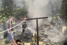 Sijago Merah Lalap Rumah Parbotot,Kerugian Ditaksir Rp 40 Juta