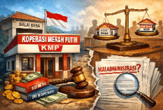 KMP dan Penggunaan Aset Desa: Antara Otonomi Koperasi dan Potensi Maladministrasi